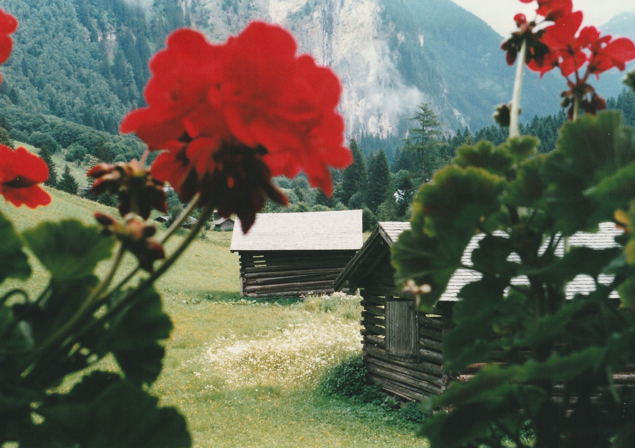 Southern Austria – where Martin's Eyes begins